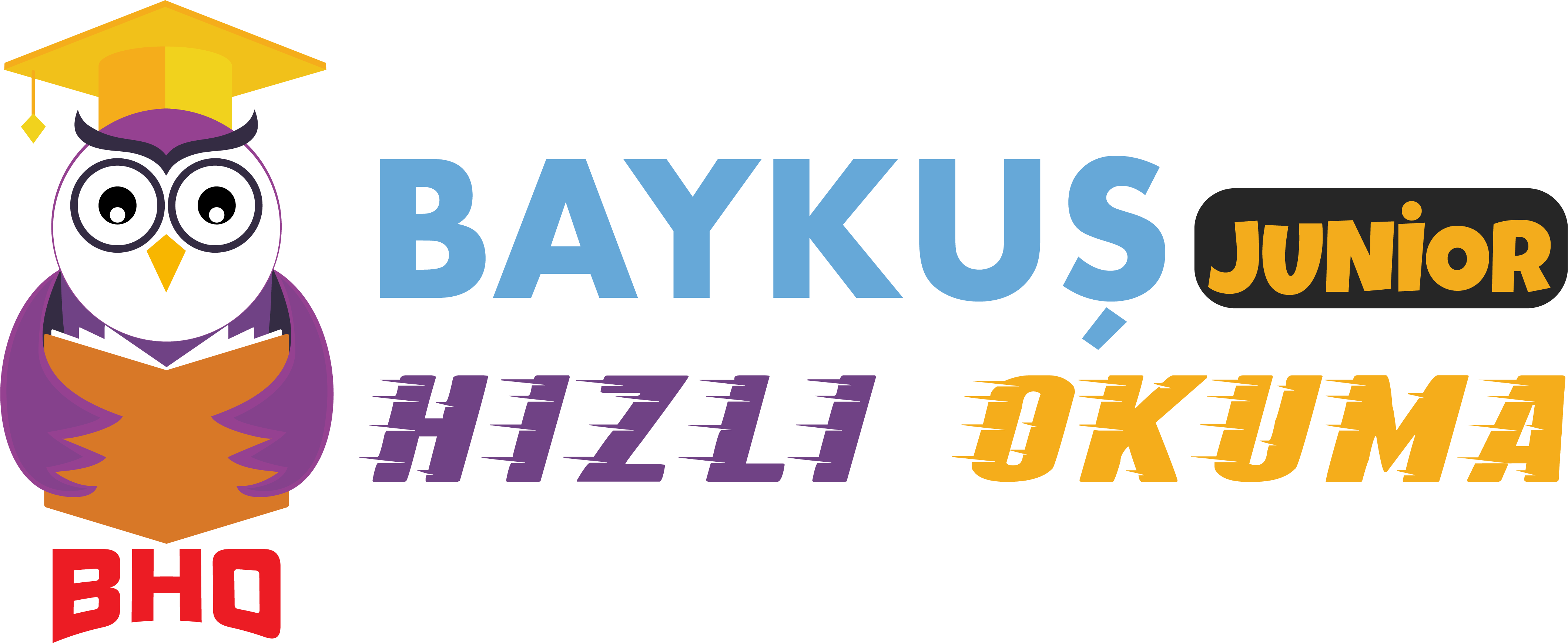 Giriş Baykuş Hızlı Okuma